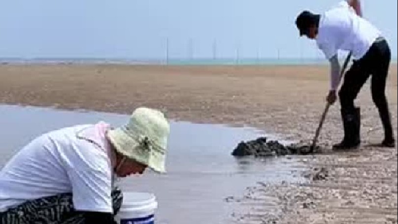 每天都记录我的农村真实生活日常