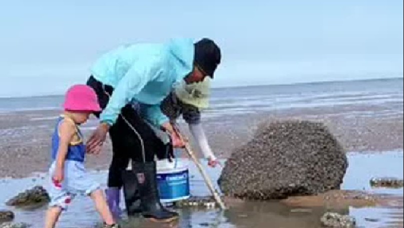 赶海赶海赶海啦带你去体验渔民的生活