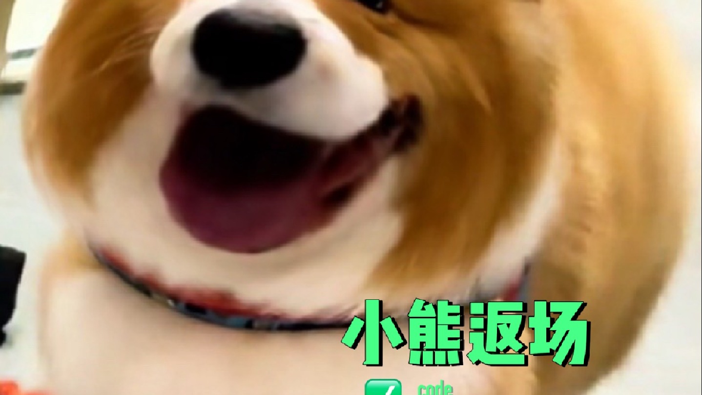 小熊熊限时返场~