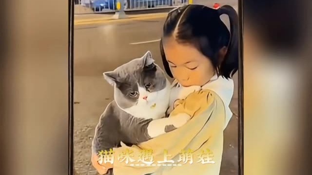 猫咪与萌娃的治愈瞬间，真的太治愈了