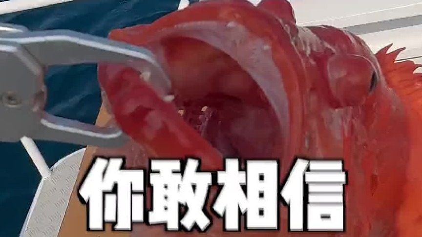 帅小伙带女友远赴泰国海岛，寻找昂贵深海石斑鱼…