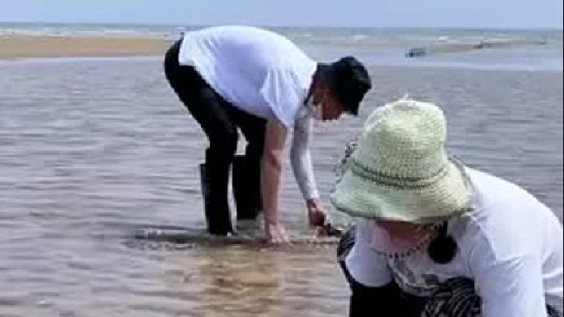 赶海赶海赶海啦户外赶海抓海鲜