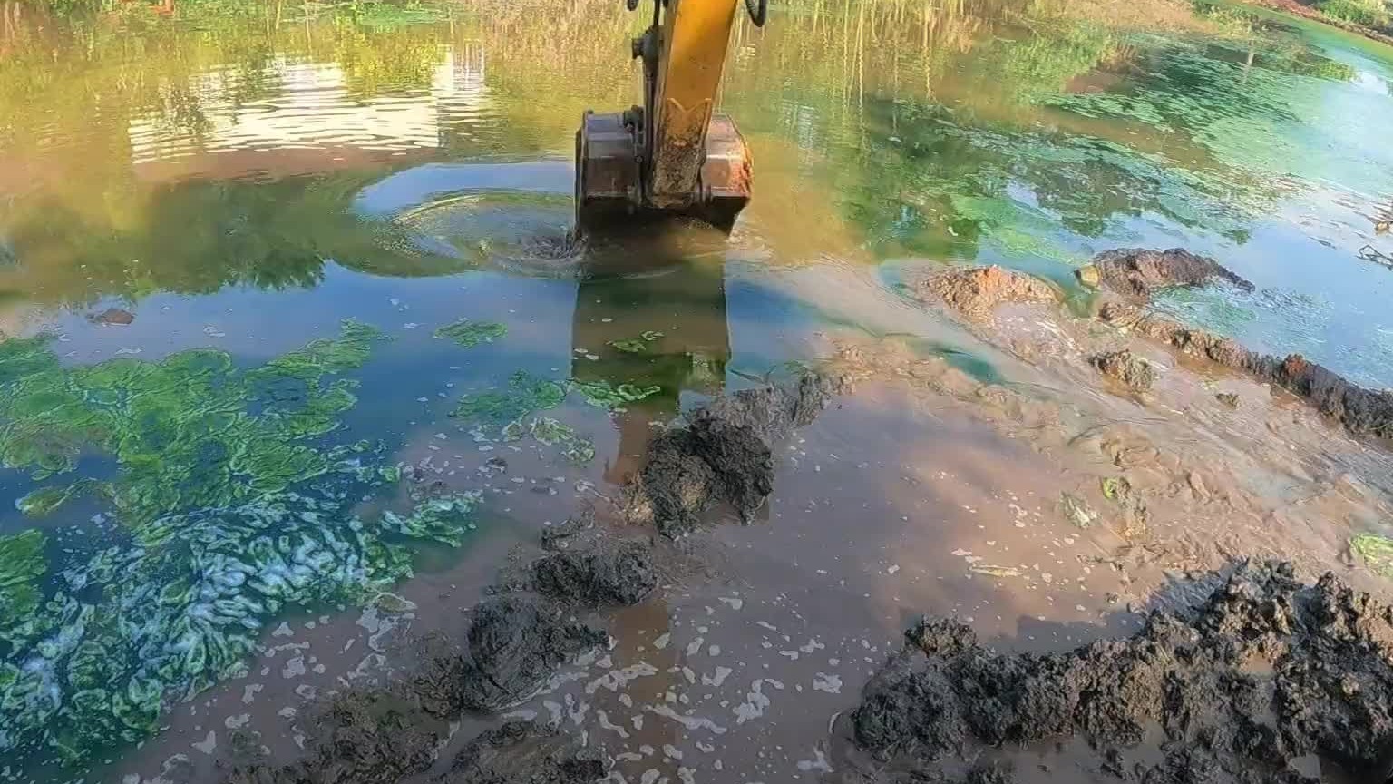 72年就存在的鱼塘，一直这么多年不管不问。里面到底有鱼没有？