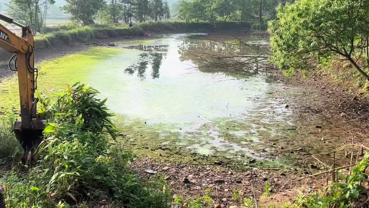 2亩面积鱼塘，泥巴没地方去。预算只有3000。最后挖出个什么名堂