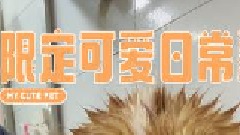 壮还是胖，一打湿就知