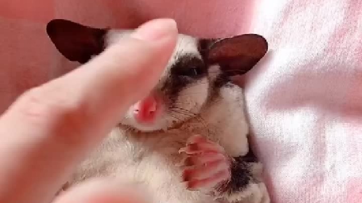 天南地北，豆豆最美。迷之自信。