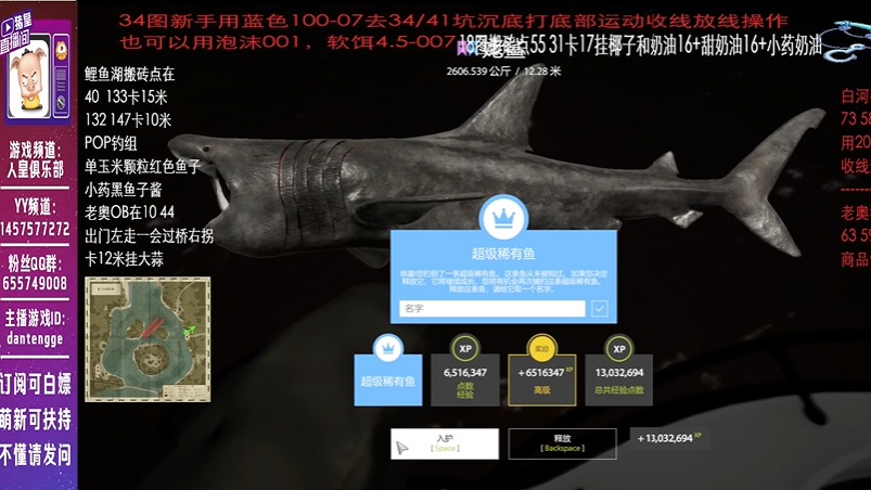 蓝冠姥鲨中鱼赶鱼视频1