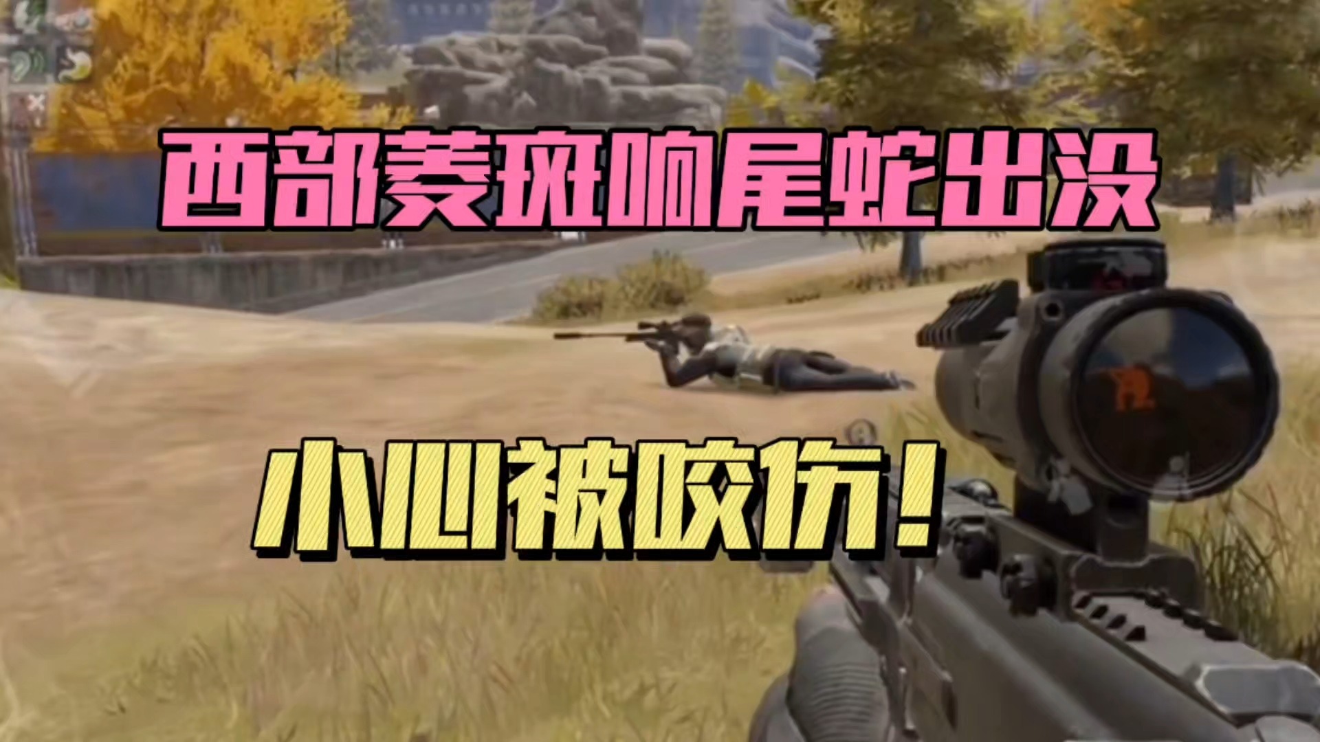 暗区突围：西部鳞斑响尾蛇出没，小心被咬伤！