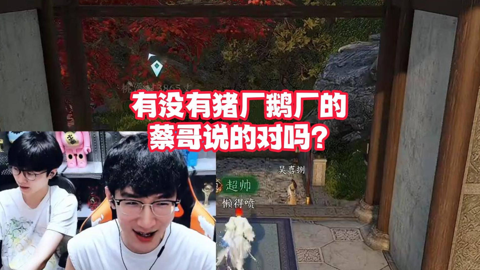 有没有猪厂鹅厂的，蔡哥说的对吗？