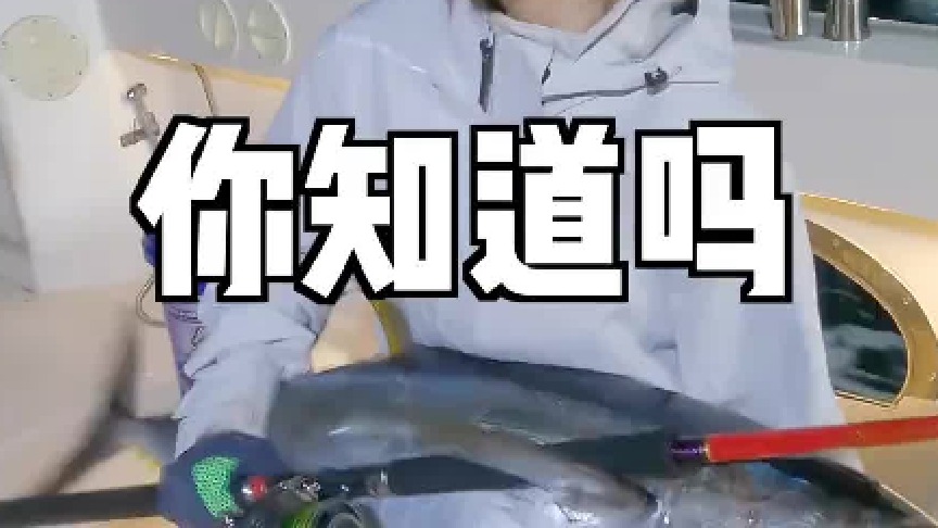 （最新一期）据说，这才是金枪鱼的天花板吃法。。