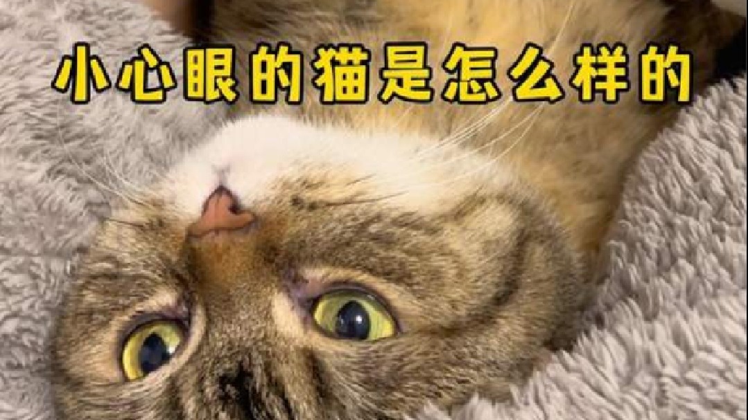 对不起有点灰！粑粑绝对不是想听你打呼！呜呜呜