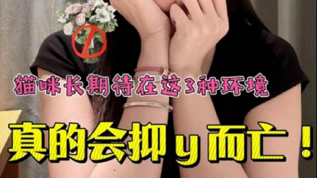 快住手！猫咪长期呆在这几种环境可能会s！