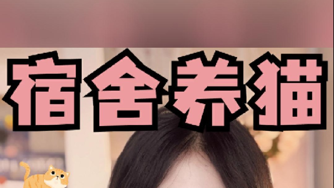 搞定宿管阿姨，让你实现宿舍养猫自由