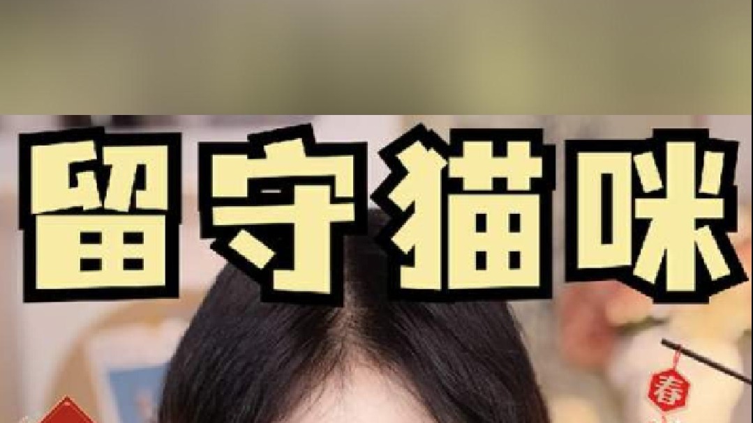 留守小猫想告诉你的五件事