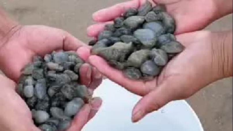 每天都记录我的农村真实生活日常