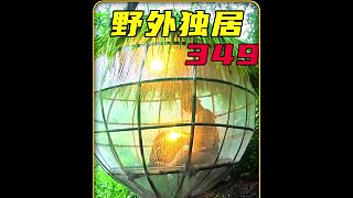 這才是最具腦洞的野外露營