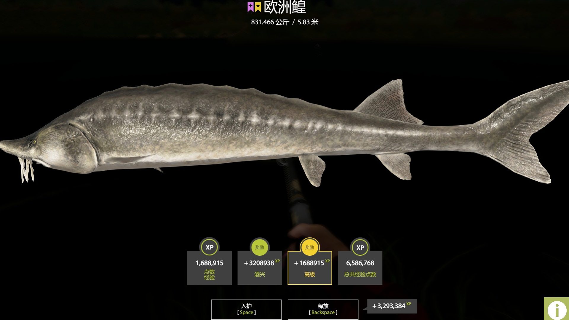 【 拉一条星鳇 】！-片段1