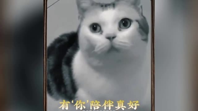 不论以何种方式，它都一定会回到你身边