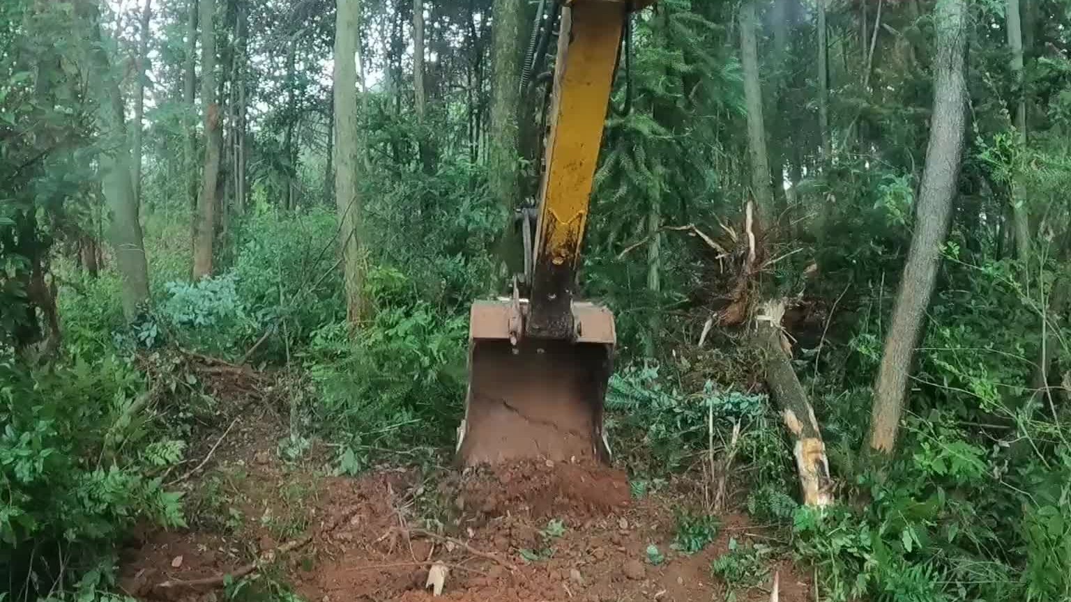 好像是要抬什么上去，没有路。挖机上山修路