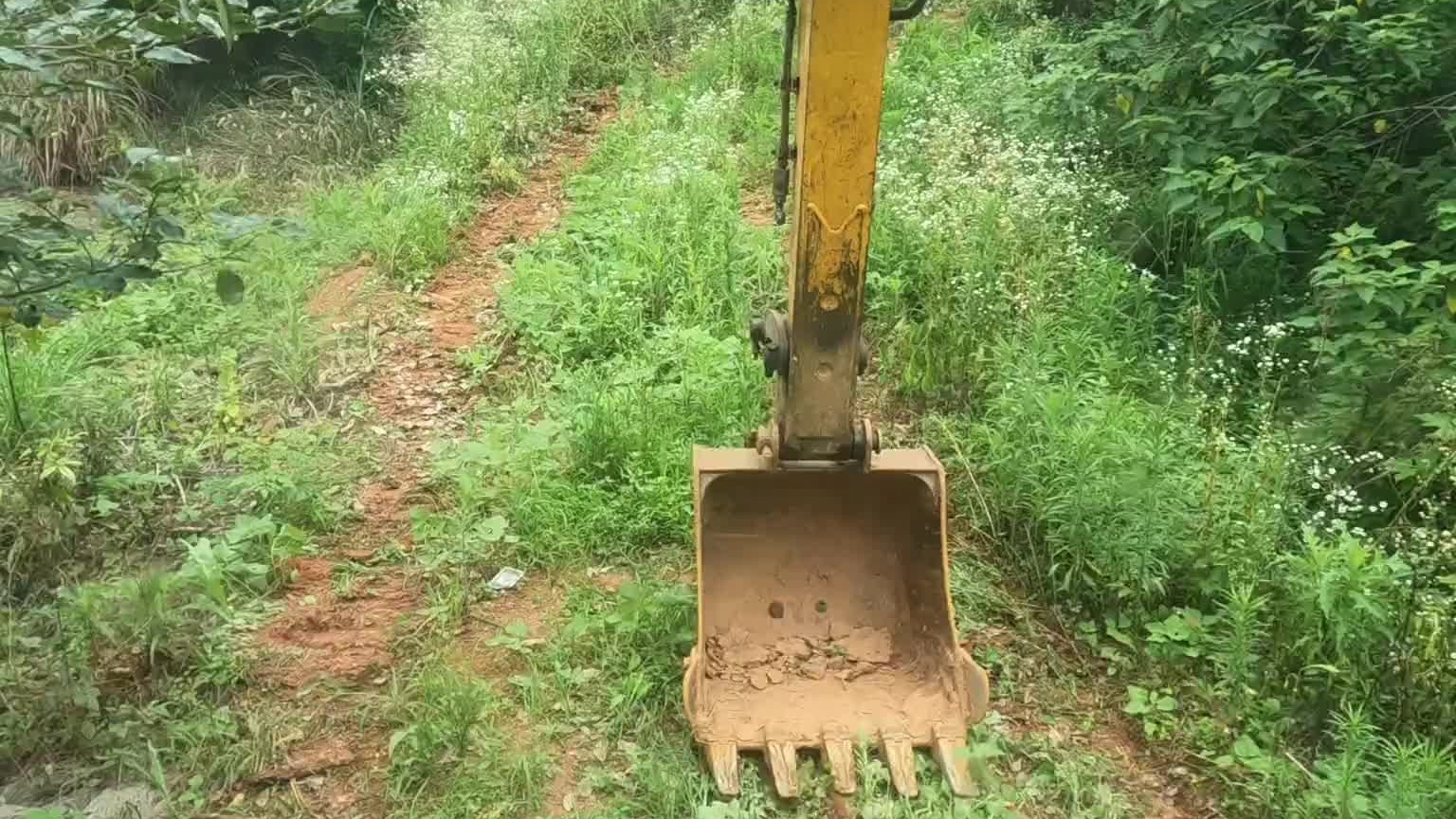 来大活了，30亩地，挖机清杂修整第一天。