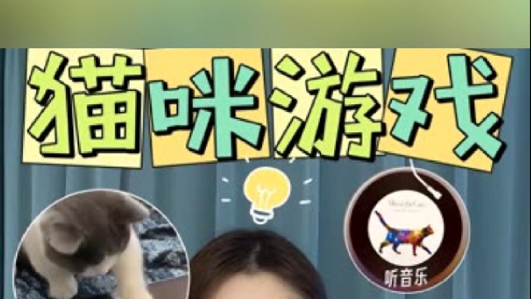 猫咪会爱疯的娱乐项目，这么神奇？