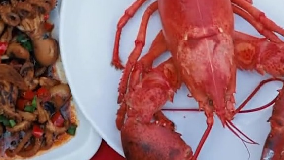 你们认识这隔壁村来做客的两位大网红吗？