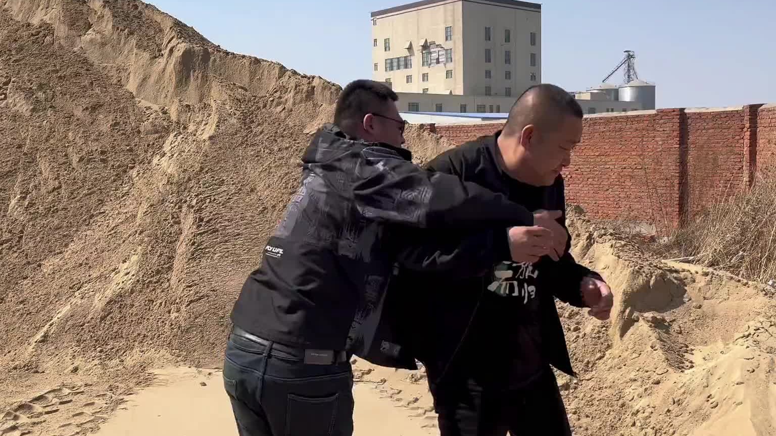 沙漠里最后一只鹤