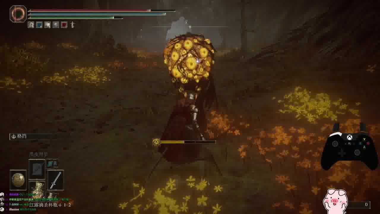 【艾尔登法环dlc黄金树幽影】谷底森林"脑姐"打法