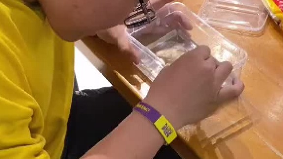 #守宫蜕皮 饲养小宠的乐趣就是窥探它的私生活