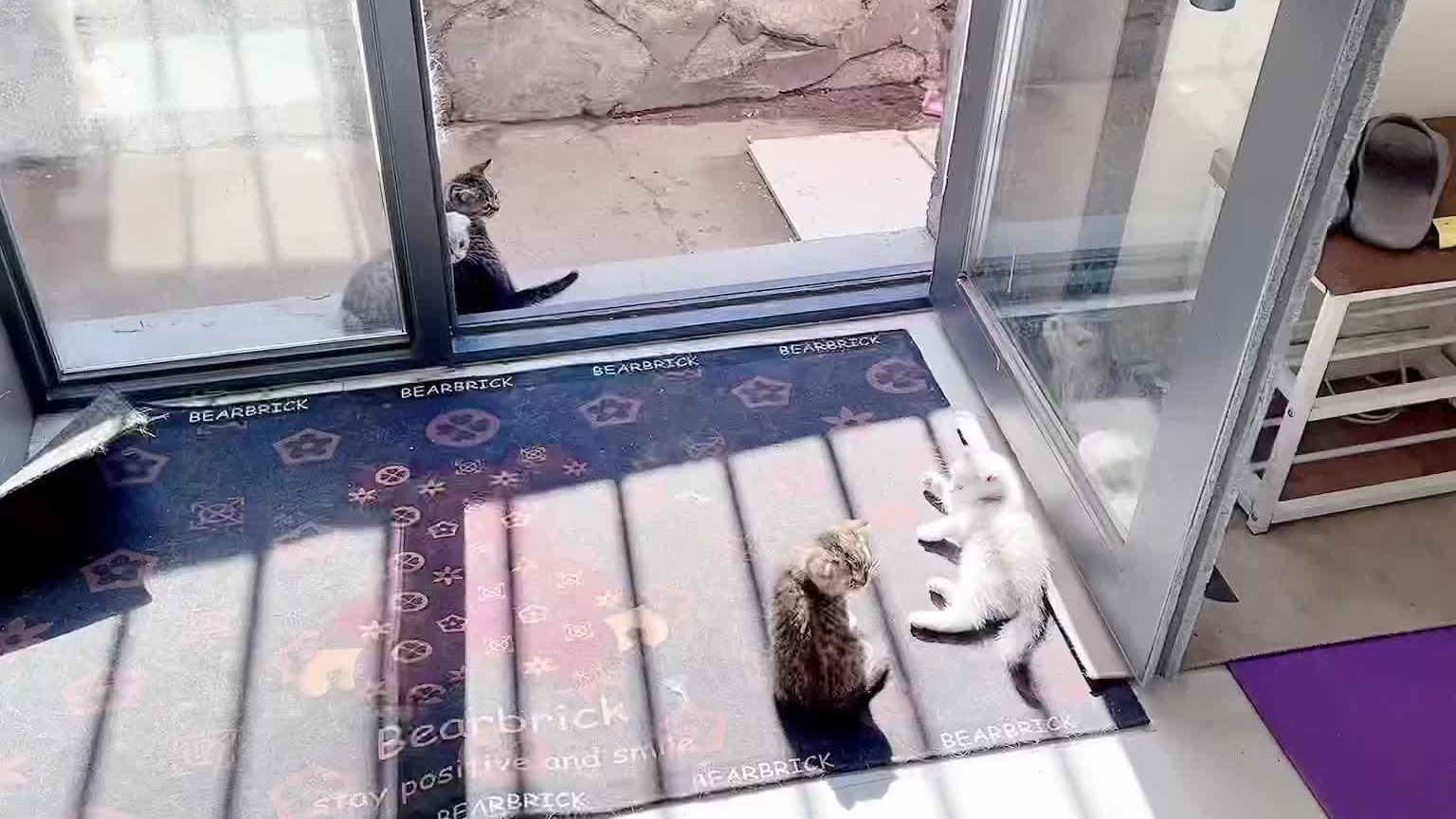 全都扔了都扔了，让你们跑。