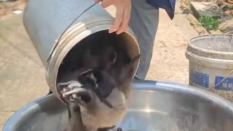 有没有认识的朋友