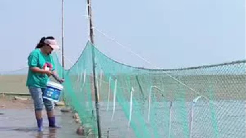 每天都记录我的农村真实生活日常