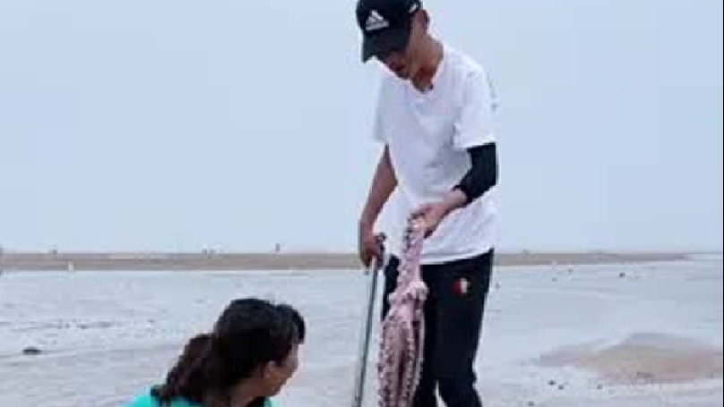 赶海赶海赶海啦户外赶海抓海鲜