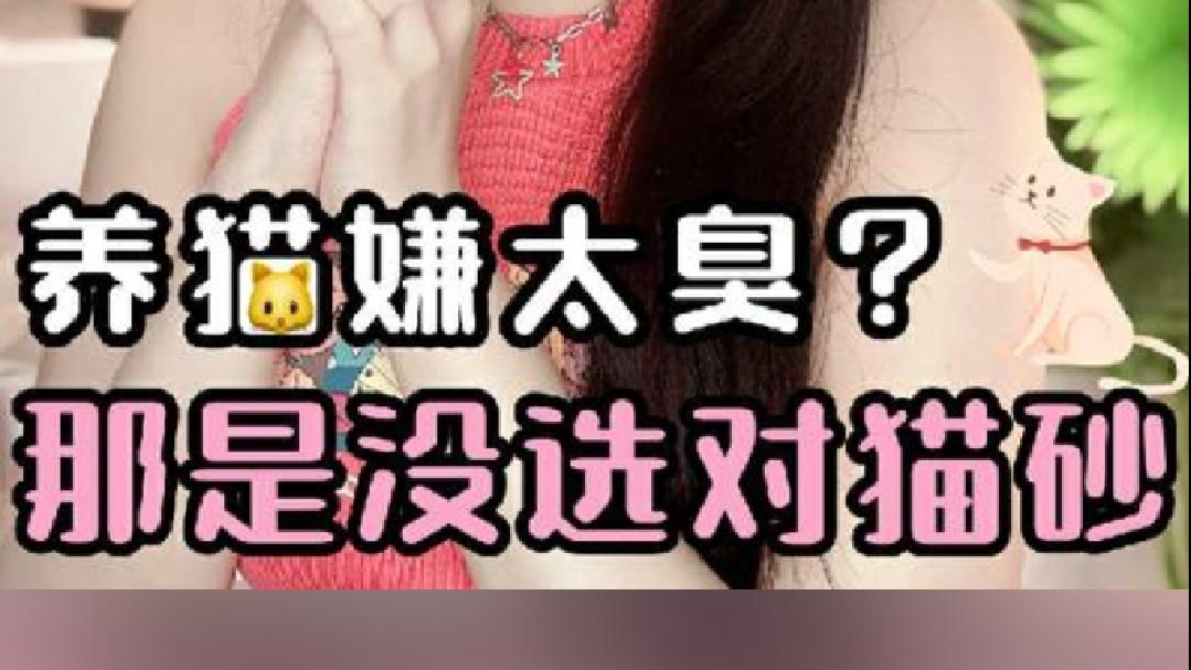 矿砂VS混合砂，新手养猫到底怎么选？