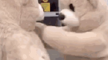 老一提升团4奶 AOE直接嘎6个