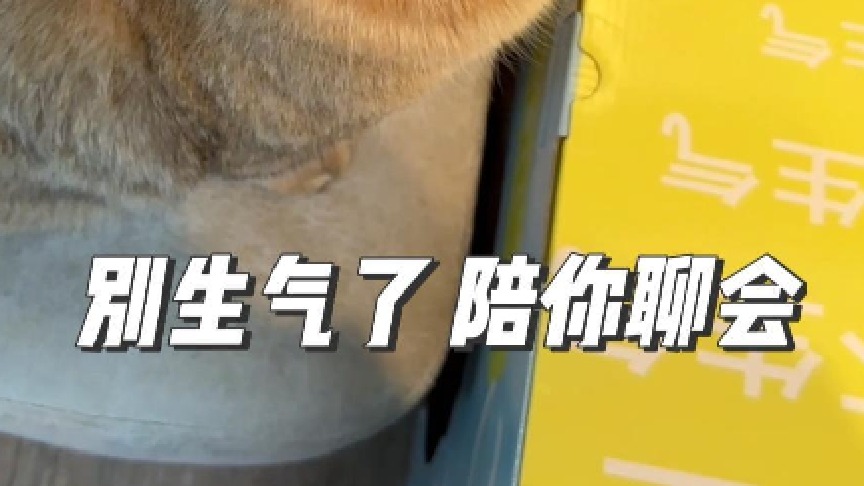 不让咯噔说话他还真生气啦