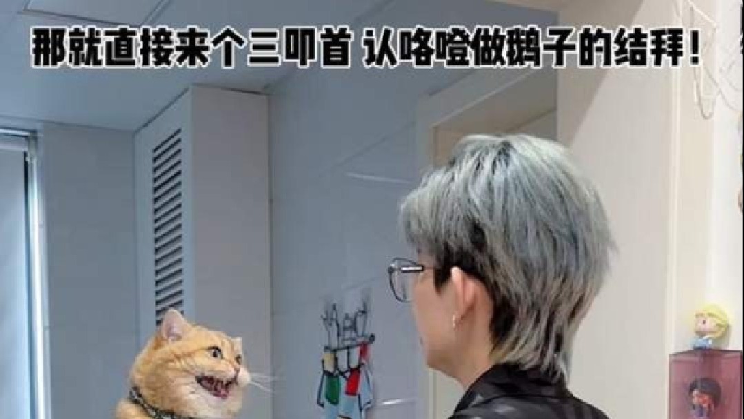 差一拜就成爹了