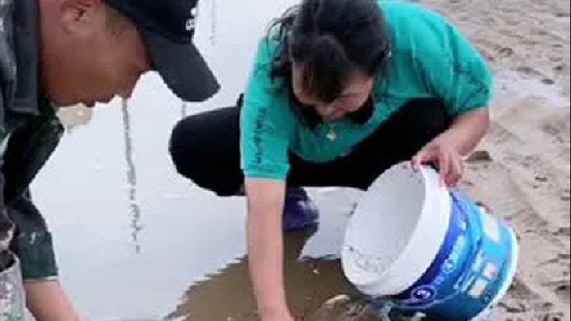 赶海记录农村真实生活