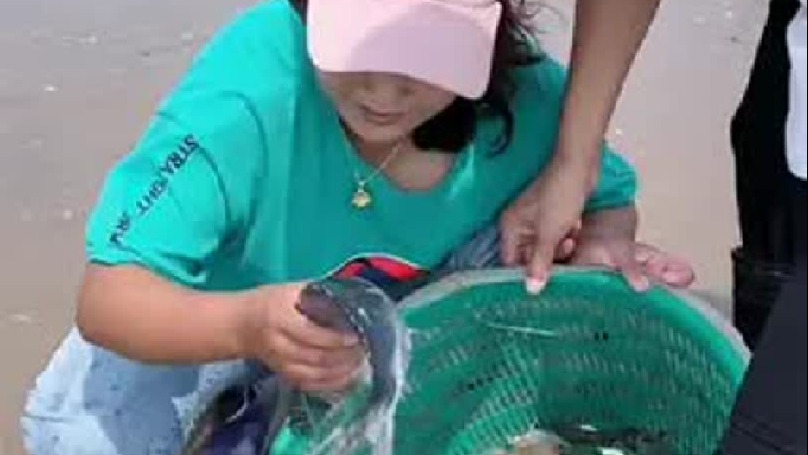 记录农村真实生活赶海