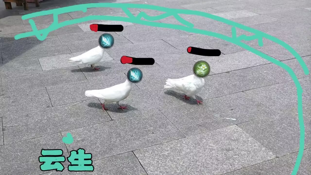 三鸽，随便打打-片段1