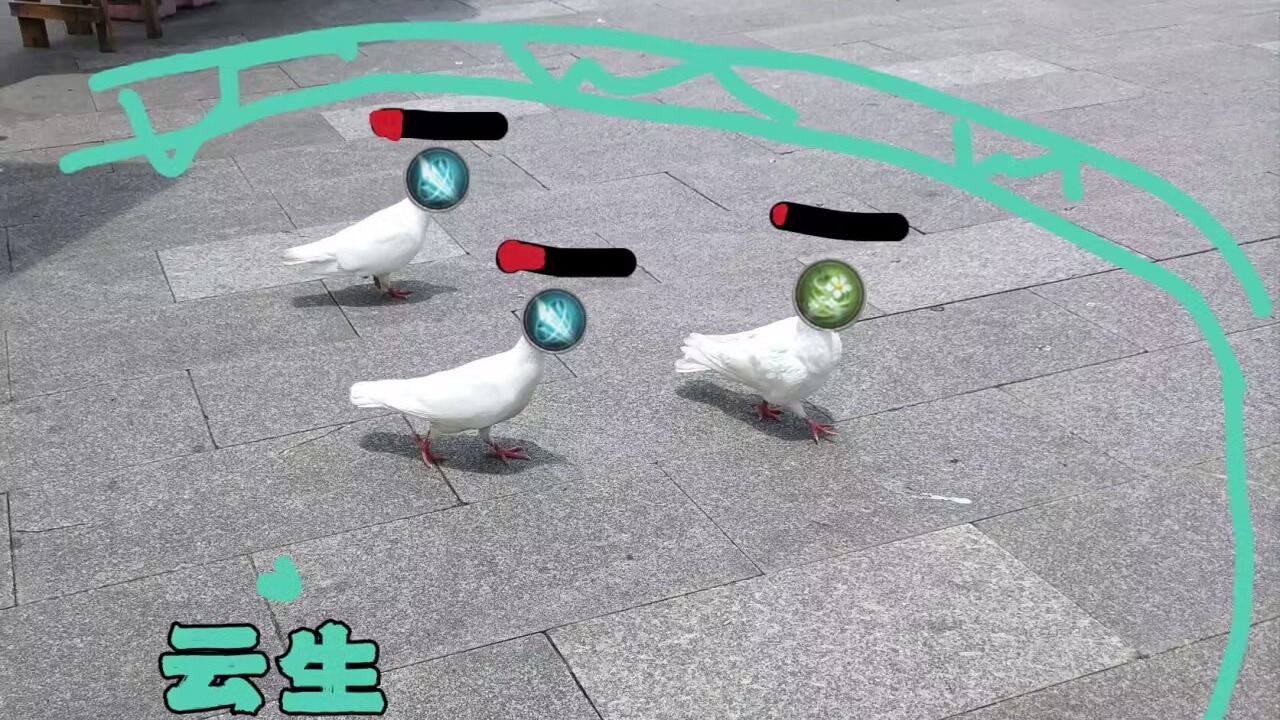 三鸽，随便打打-片段2