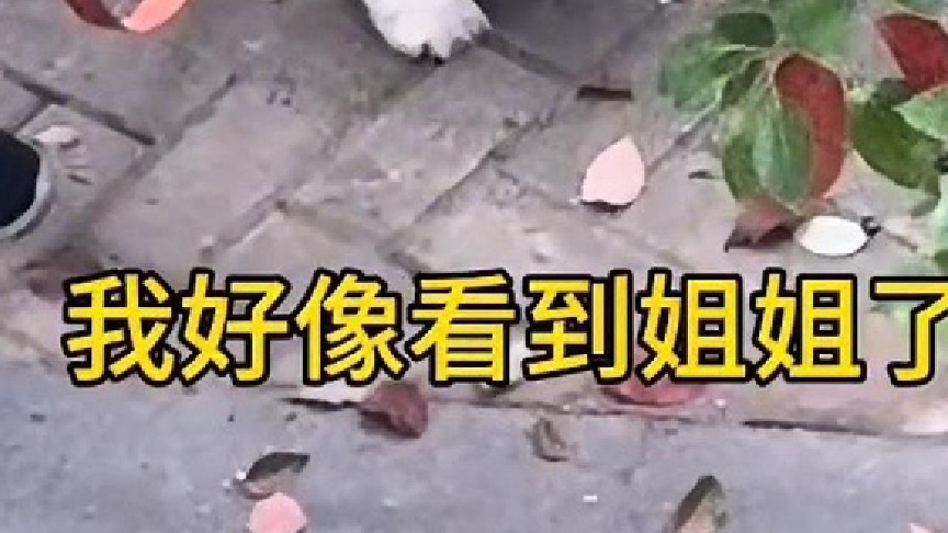 你们说他到底看到我没