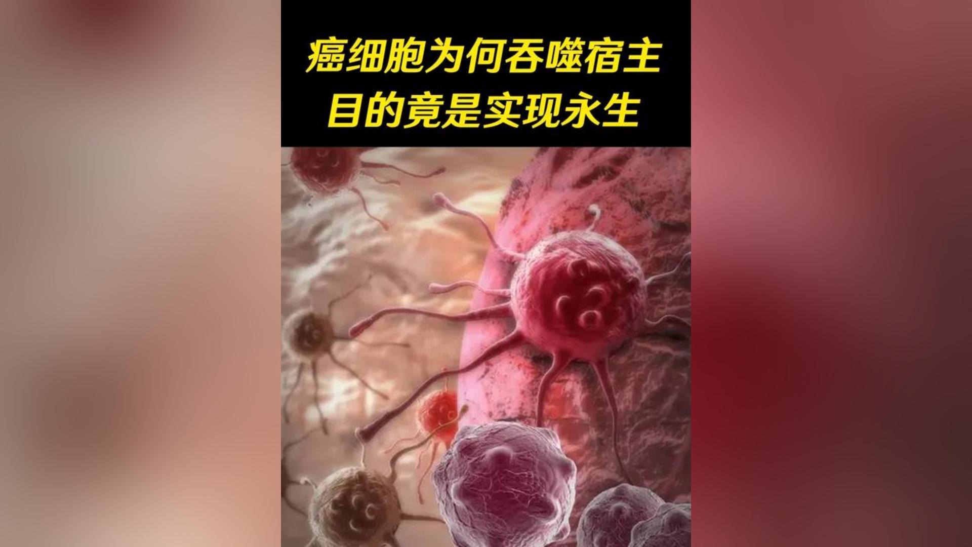 癌细胞如何吞噬人的身体，与宿主同归于尽，但目的竟是实现永生？