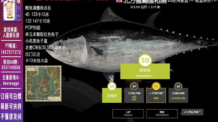 第三条星金枪鱼