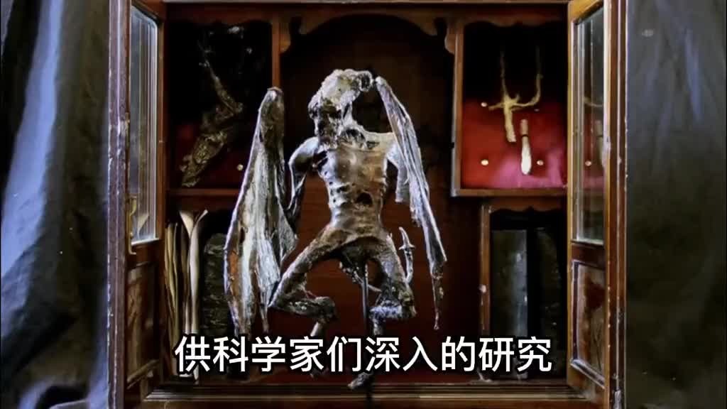 拆除大楼地下室惊现大量暗黑生物？世界唯一暗黑博物馆狼人记录！