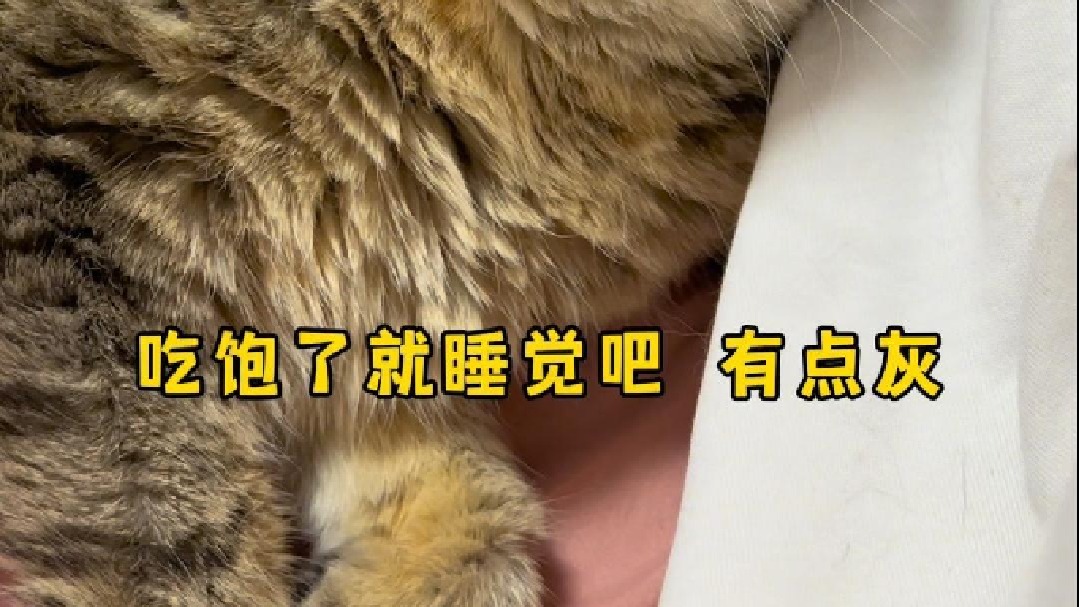 是每晚都会洗漱干净陪睡觉的床搭子！