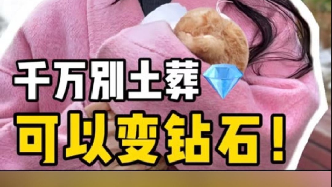 猫咪去世被做成钻石,铲屎官愿意吗
