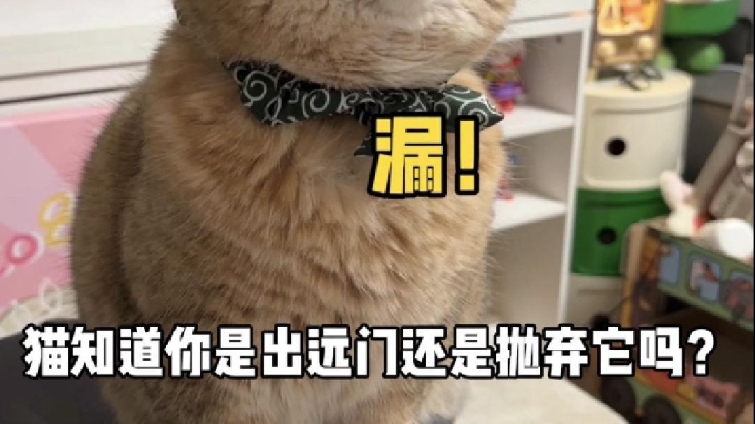 咯噔是不是察觉到噔妈又要离开一段时间了呢？