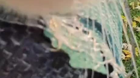 沉浸式体验小猫交朋友的一天，嗯昂~ 啊啊啊啊啊建议戴上耳机反复收听