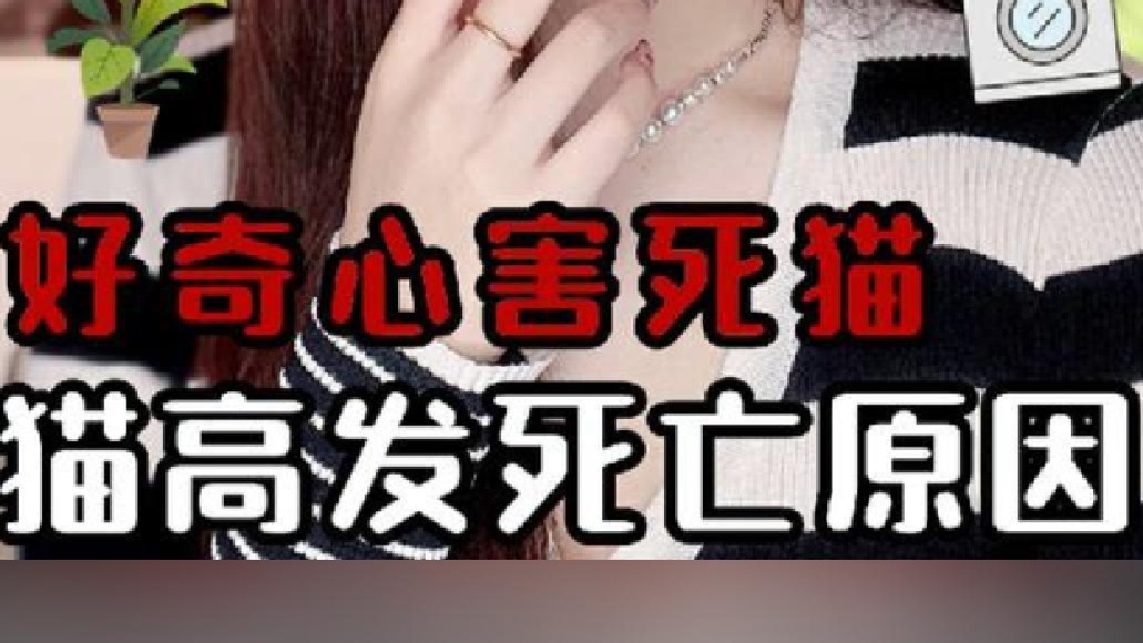 猫被洗衣机绞死，这真的不是谣言‼️